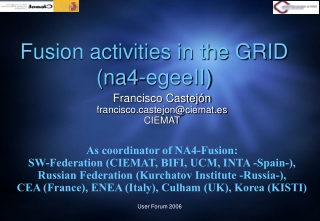 Francisco Castejón franciscostejon@ciemat.es CIEMAT As coordinator of NA4-Fusion: