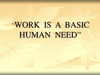 “ WORK  IS  A  BASIC HUMAN  NEED ”