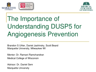 The Importance of Understanding DUSP5 for Angiogenesis Prevention