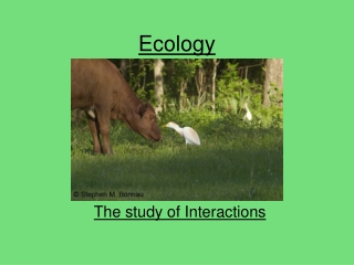 Ecology