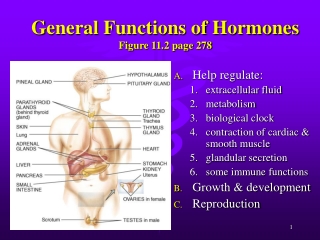 General Functions of Hormones Figure 11.2 page 278