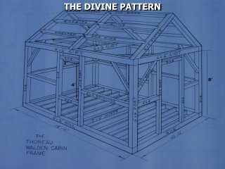 THE DIVINE PATTERN