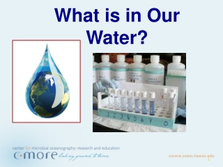 What is in Our Water?