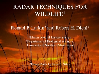RADAR TECHNIQUES FOR WILDLIFE 1 Ronald P. Larkin 2  and Robert H. Diehl 3