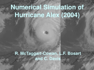 Numerical Simulation of Hurricane Alex (2004)