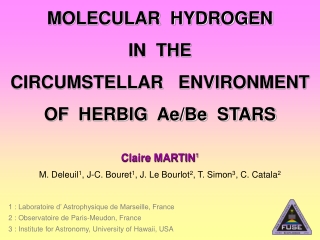 MOLECULAR  HYDROGEN  IN  THE  CIRCUMSTELLAR   ENVIRONMENT  OF  HERBIG  Ae/Be  STARS