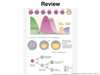 Wang and Dey, 2006 Nature Reviews 7:185-199