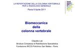 Biomeccanica della colonna vertebrale