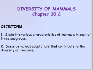 DIVERSITY OF MAMMALS Chapter 30.2 OBJECTIVES :