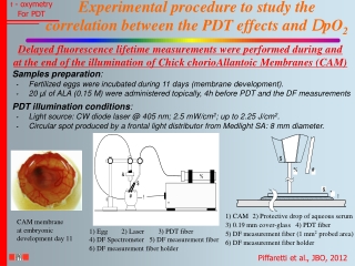 Experimental procedure to study the correlation between the PDT effects and  D pO 2