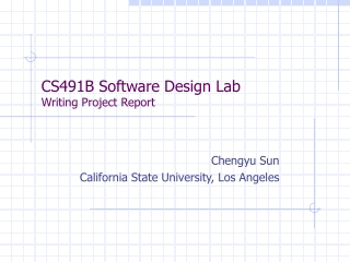 CS491B Software Design Lab Writing Project Report