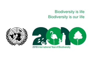 Biodiversity is life Biodiversity is our life