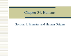 Chapter 34: Humans