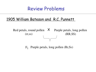 Review Problems