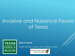 Invasive and Nuisance Fauna  of Texas