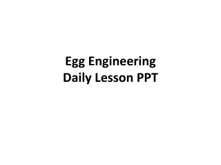 Egg Engineering  Daily Lesson PPT