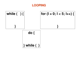 LOOPING