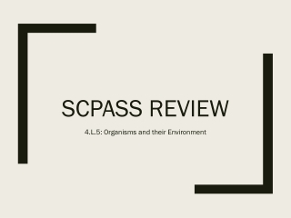 SCPASS Review