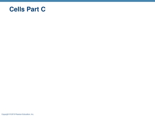 Cells Part C