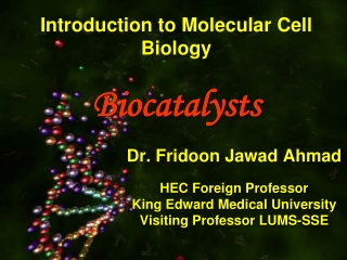 Introduction to Molecular Cell Biology Biocatalysts