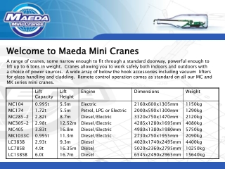 Welcome to Maeda Mini Cranes