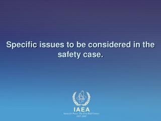 Specific  issues to be considered in the safety case.