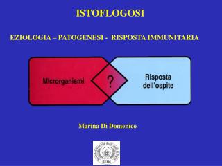 ISTOFLOGOSI