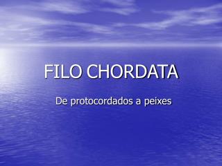 FILO CHORDATA