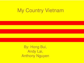 My Country Vietnam