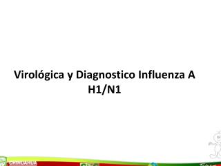 Virológica y Diagnostico Influenza A H1/N1