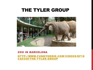 The Tyler Group