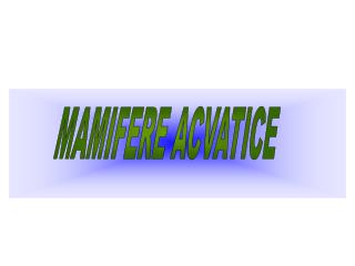 MAMIFERE ACVATICE