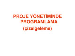 PROJE YÖNETİMİNDE PROGRAMLAMA (çizelgeleme)