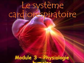 Le système cardiorespiratoire
