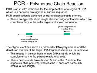 PCR -  Polymerase Chain Reaction