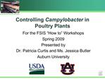 Controlling Campylobacter in Poultry Plants