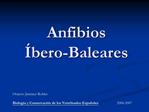 Anfibios bero-Baleares