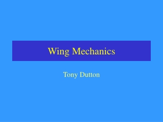 Wing Mechanics