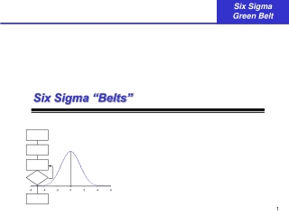 Six Sigma “Belts”