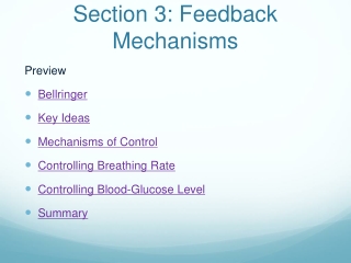 Section 3: Feedback Mechanisms