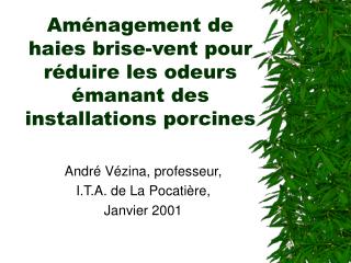 Aménagement de haies brise-vent pour réduire les odeurs émanant des installations porcines