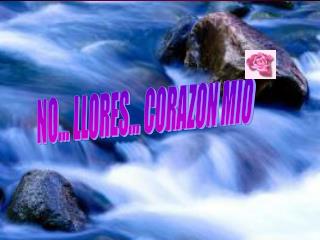 NO... LLORES... CORAZON MIO