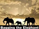 Bagging the Elephant