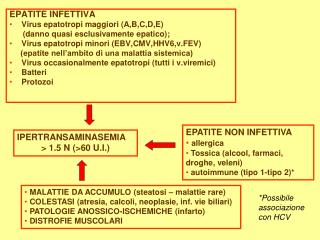 EPATITE INFETTIVA Virus epatotropi maggiori (A,B,C,D,E) (danno quasi esclusivamente epatico); Virus epatotropi min