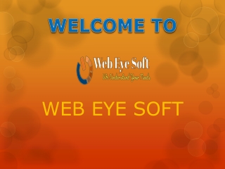 Web Eye Soft - Best Cheap Hosting Providers in India