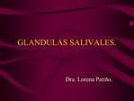 GLANDULAS SALIVALES.