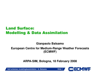 Land Surface: Modelling & Data Assimilation