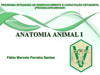 ANATOMIA ANIMAL I
