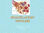 KOAG LASYON TESTLERI MEHMET YANAR kasim-2009