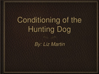 Conditioning of Hunting Dogs